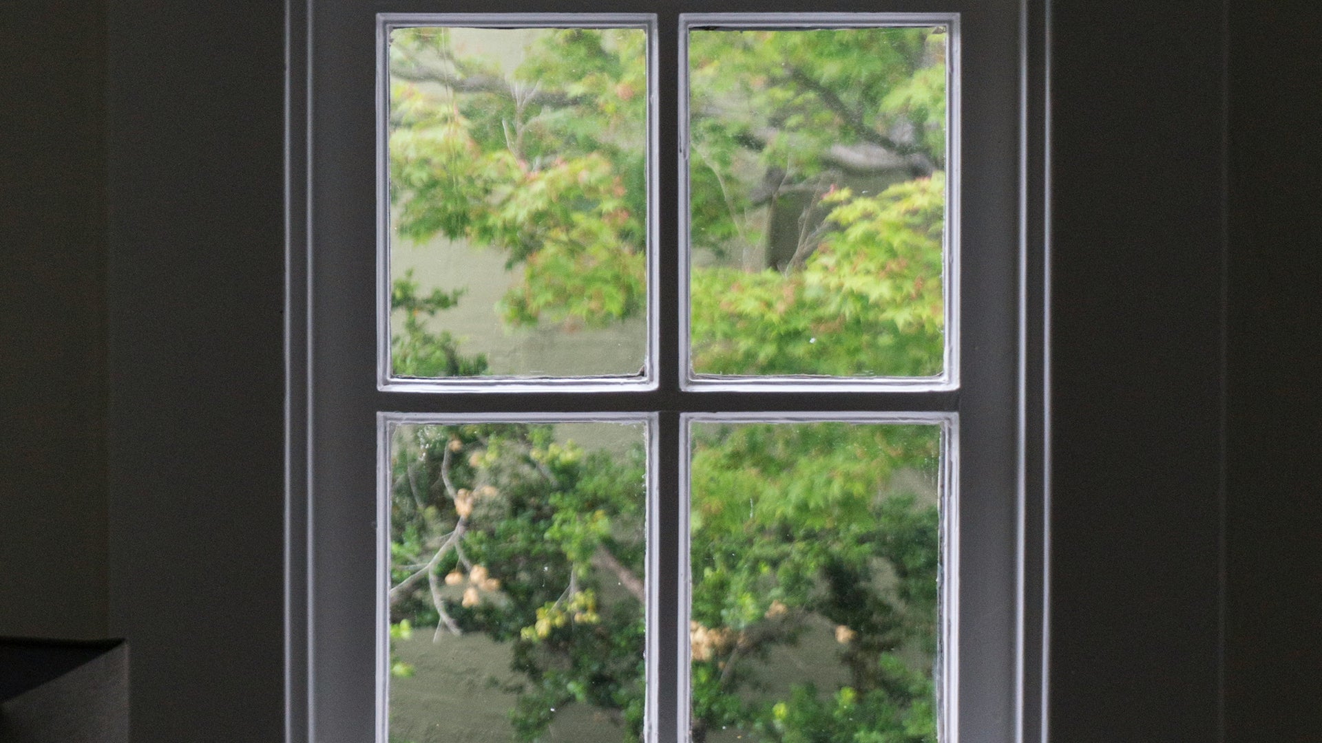 fensterblick-garten-gruene-baeume-natur-haus