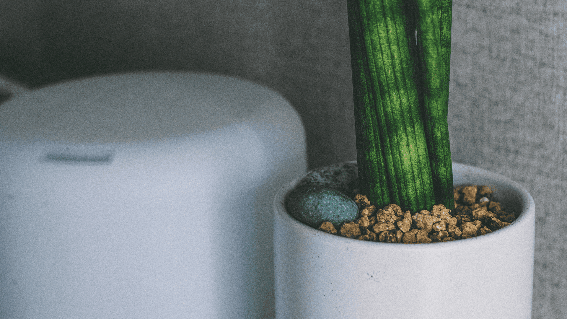 Wird der Sanierungsfahrplan noch gefördert?