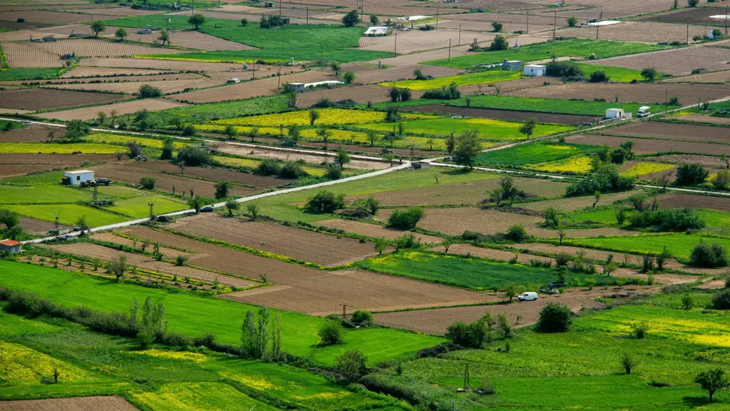 Wann besteht ein Sonderkündigungsrecht im Mietvertrag?