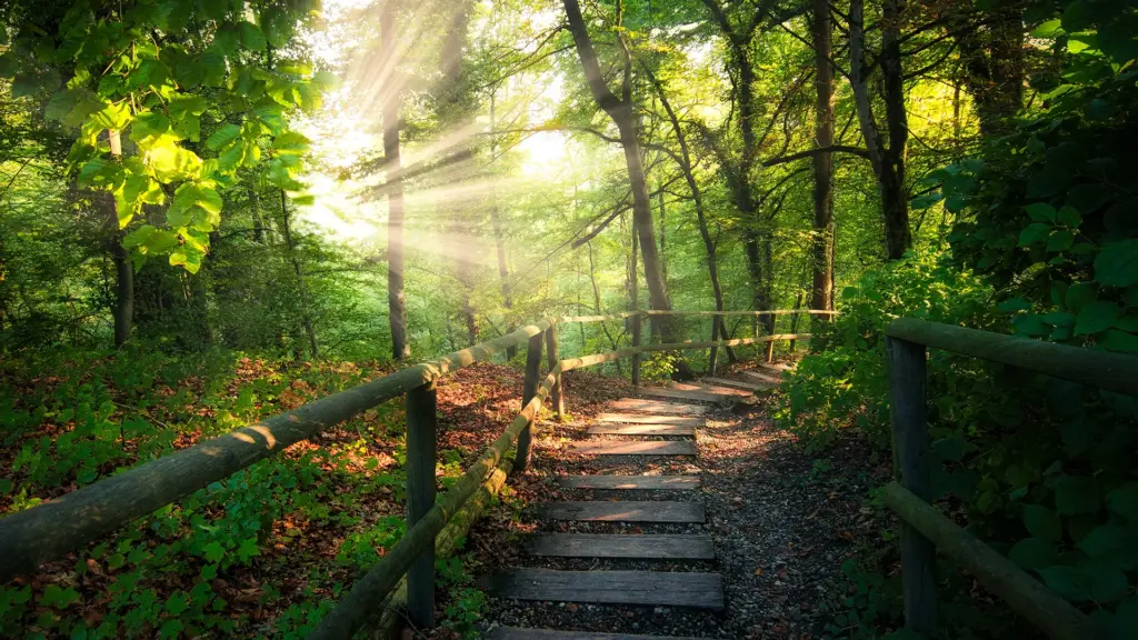 Was beinhaltet ein Energiekonzept?